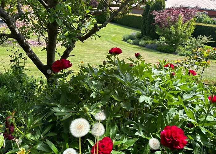 Kleine Bergstrasse 17